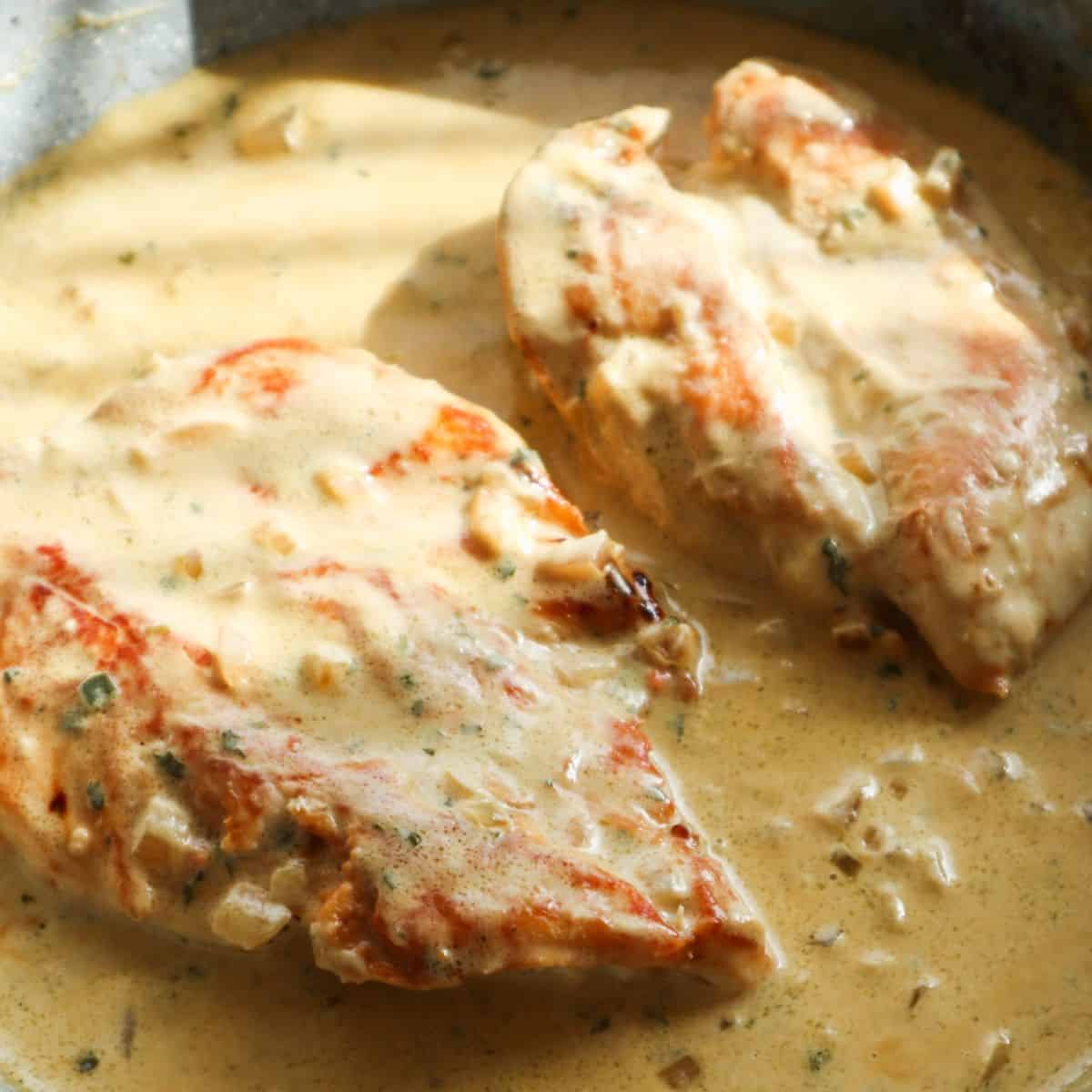 A close up os chicken with Boursin.