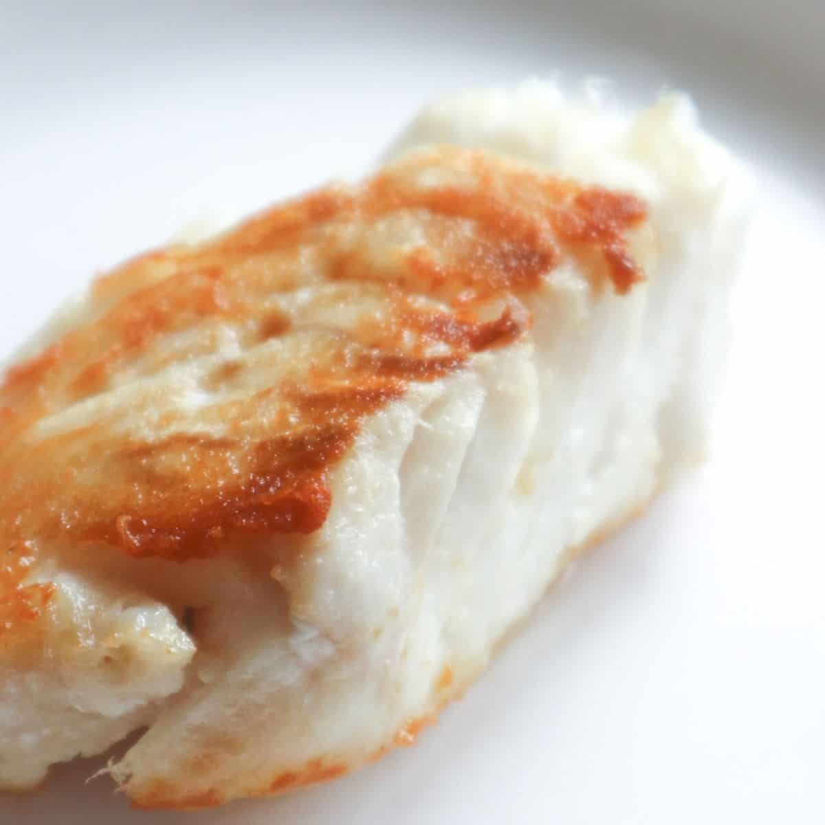 Perfectly pan-seared cod on a plate.