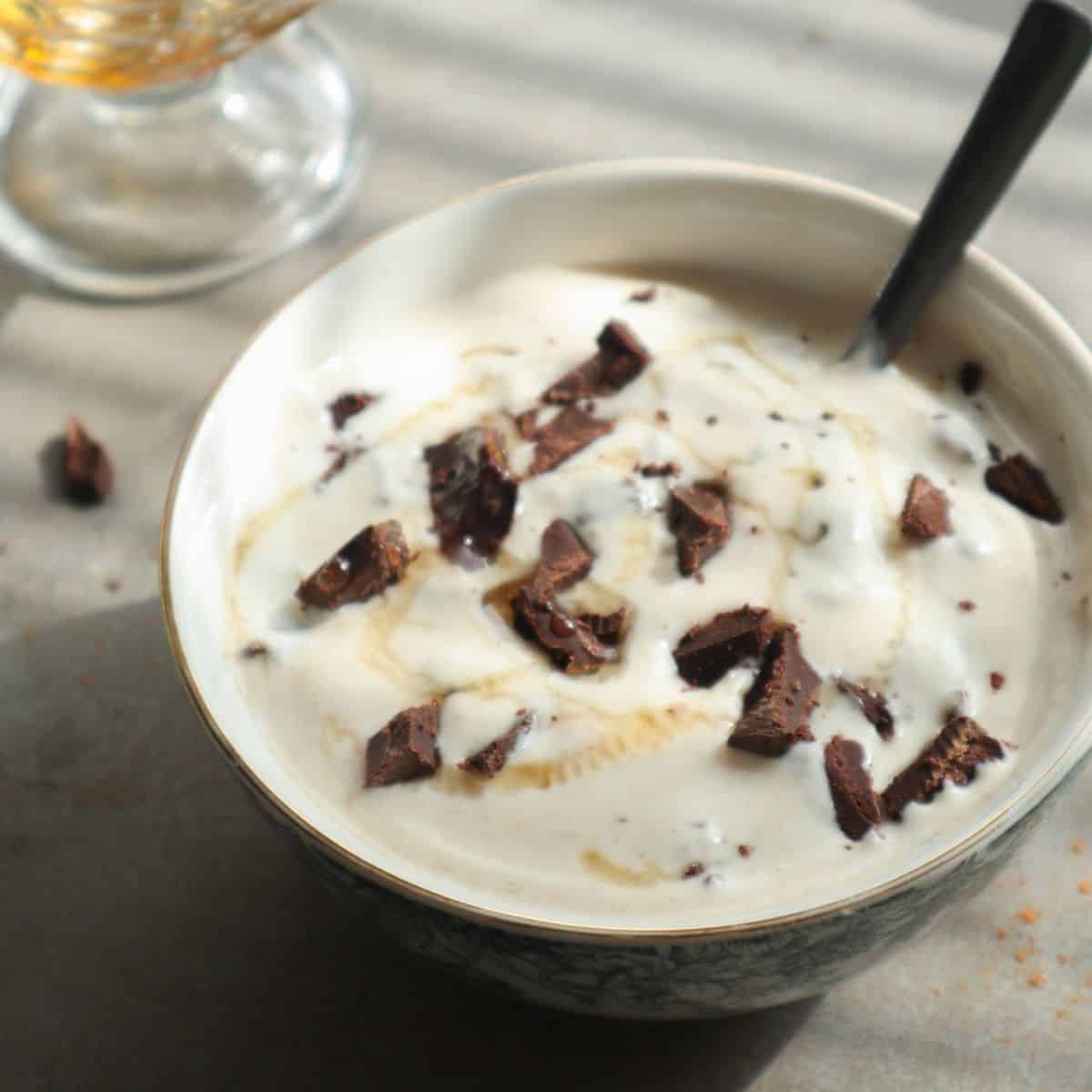 A close up of a bowl with Greek yogurt and chocolate chips.
