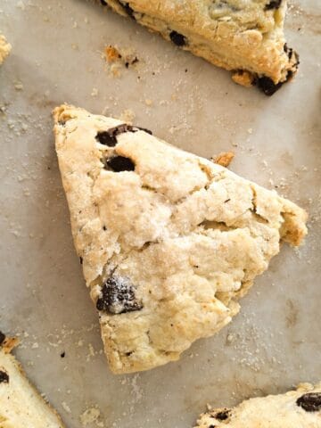 A chocolate chip scone.